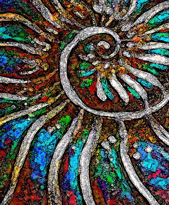Ammonite 2 art by Doug LaRue