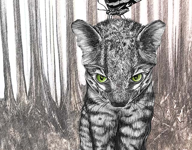 Jungle Kitty by Doug LaRue
